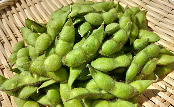 山形県産「鶴岡特産だだちゃ豆」250g - Image 2