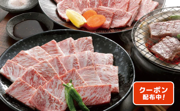 「宮崎牛 5等級焼肉」計900g（SQ-370）