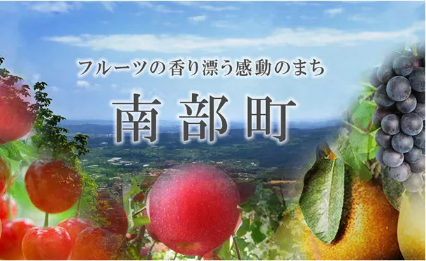 四戸農園 青森県産「特選葉とらずサンふじ」4kg（13玉前後） - Image 4