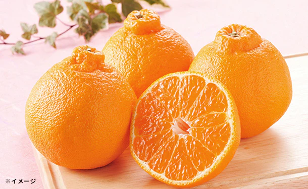愛媛県産「不知火」5kg