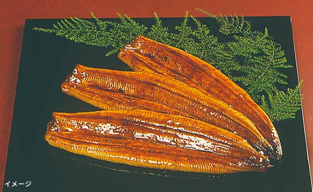 「宮崎県産 うなぎ蒲焼」190g