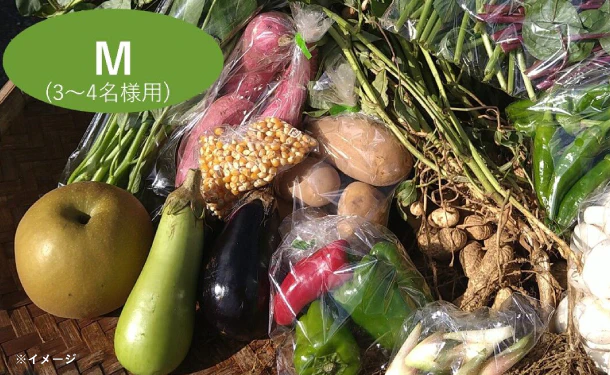 「千葉県産 野菜ボックス Mサイズ(3〜4名分)」