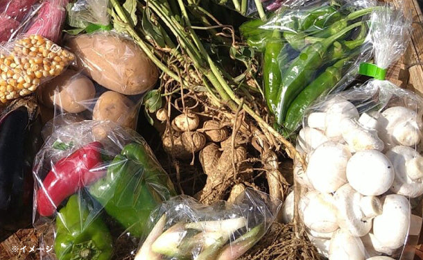 「千葉県産 野菜ボックス Mサイズ(3〜4名分)」 - Image 2