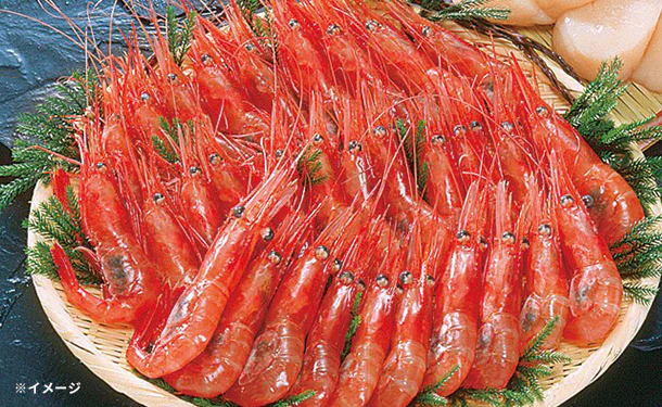 「北海道産 甘えび」100g