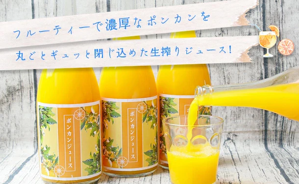 愛媛県産「ポンカンジュース」720ml - Image 2