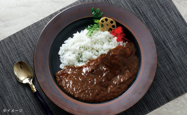 「飛騨牛ビーフカレー」180g×8食(47C-223)