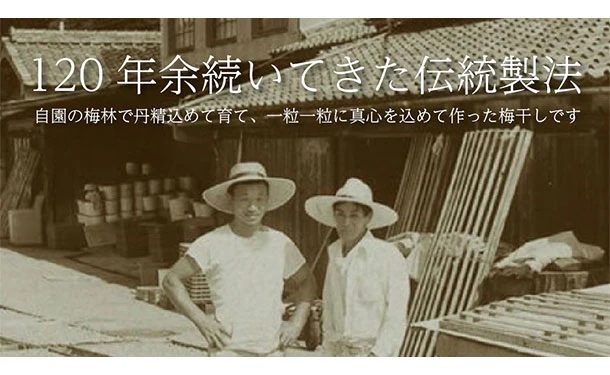 「紀州南高梅 つぶれ梅 Lサイズ しそ味・はちみつ味」各400g - Image 5