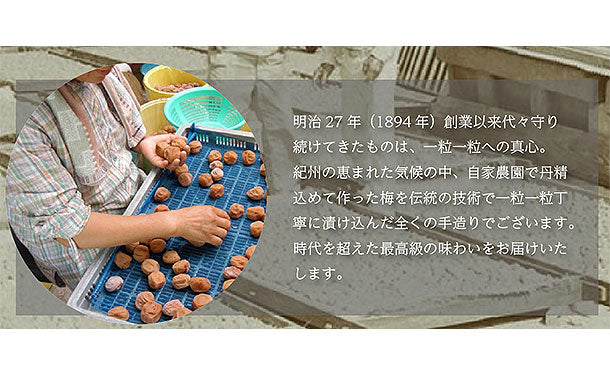 「紀州南高梅 つぶれ梅 Lサイズ しそ味・はちみつ味」各400g - Image 6