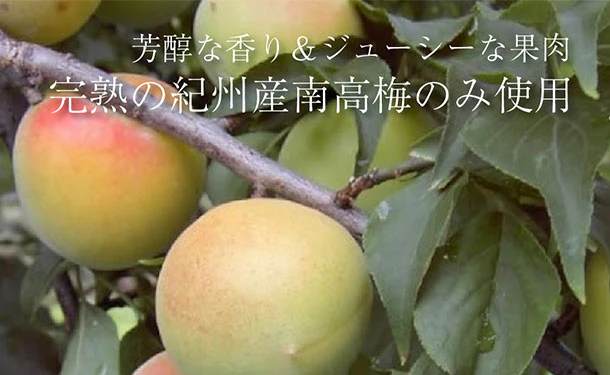 「紀州南高梅 つぶれ梅 Lサイズ しそ味・はちみつ味」各400g - Image 7
