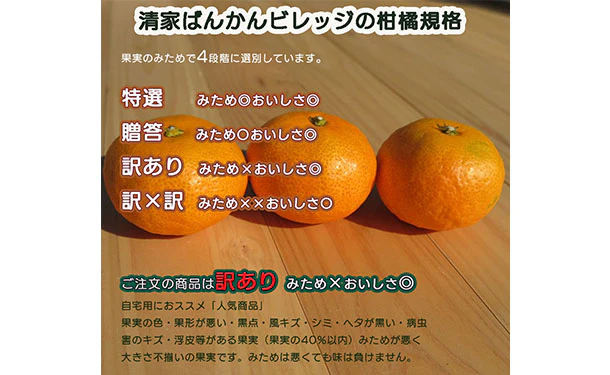 愛媛県産「訳あり 愛媛みかん（S-L）」5kg - Image 6