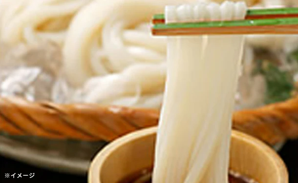 「訳あり本場讃岐の包丁細切り讃岐うどん」900g
