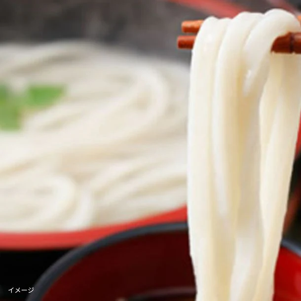 「訳あり半生極太讃岐うどん」1000g