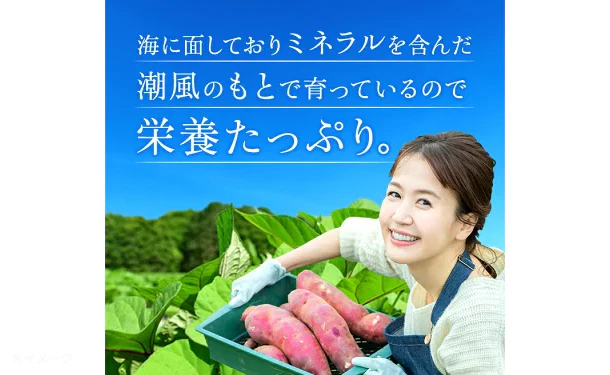 茨城県産「干し芋」100g - Image 8