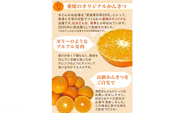 愛媛県産「訳ありみかん まどんな（愛果28号）」5kg - Image 2