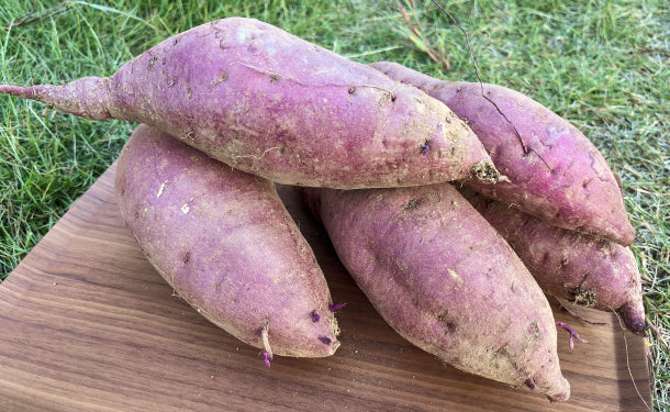 大崎上島産「土付きさつまいも（農薬：栽培期間中不使用）」約2kg（2～4本）