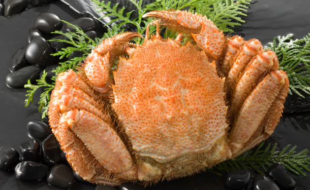 北海道オホーツク産「ボイル毛ガニ」約800g