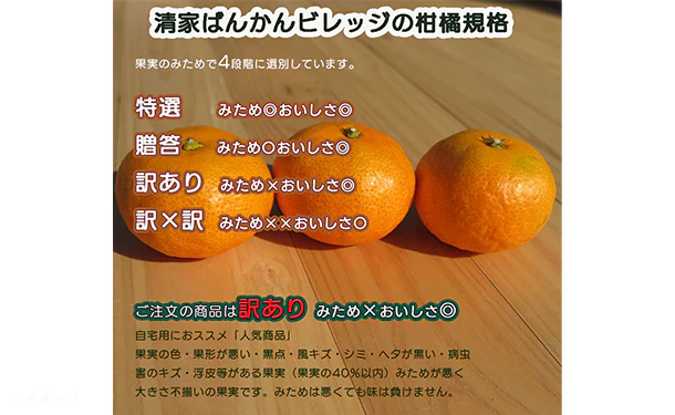 愛媛県産「訳ありポンカン（M-2L）」約5kg - Image 4