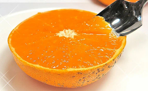 愛媛県産「訳あり せとか（2L〜5L）」約5kg