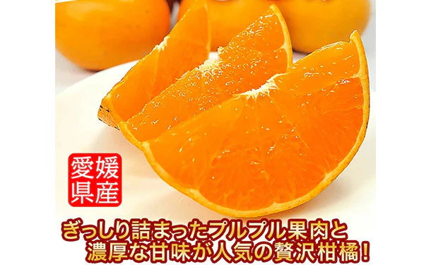 愛媛県産「訳あり せとか（2L〜5L）」約5kg - Image 2
