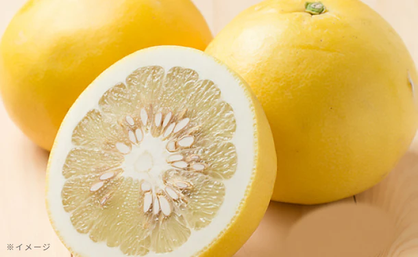 愛媛県産「訳あり土佐文旦（L-4L）」5kg