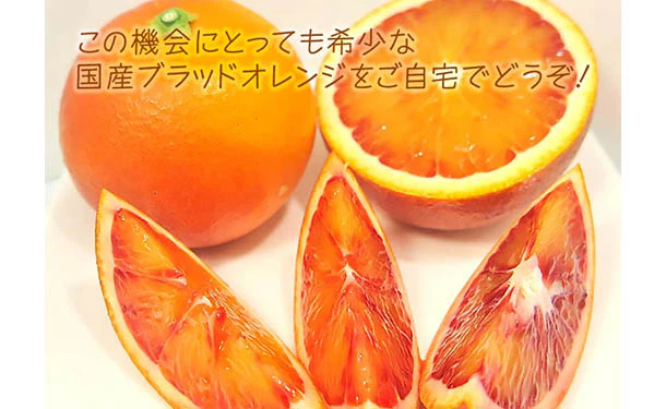愛媛県産「訳ありブラッドオレンジ（2S-3L）」3kg - Image 3