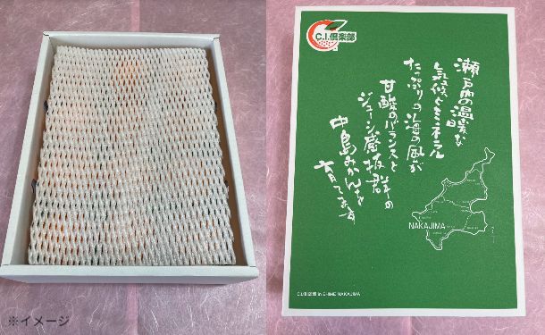 愛媛県産「不知火 化粧箱入り」約3kg 【クラチャレふるさとだより】 - Image 4