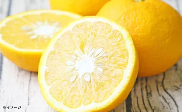 「甘夏」2kg