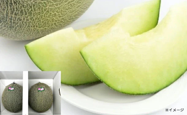 熊本県産「肥後グリーン メロン 2玉」約4kg