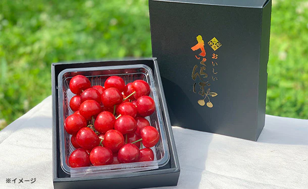 アンスリーファーム「さくらんぼ 佐藤錦 特秀品 Lサイズ以上」300g