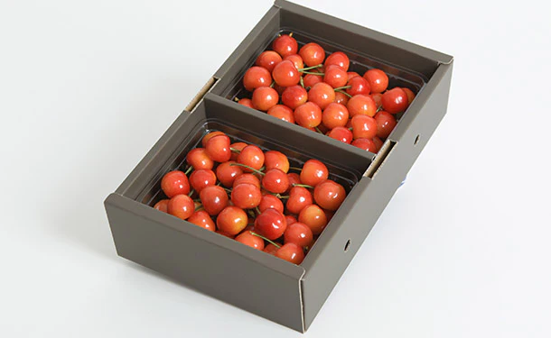 アンスリーファーム「さくらんぼ 佐藤錦 特秀品 Lサイズ以上」600g - Image 2