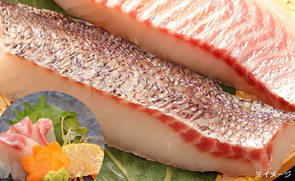 沼津産「マダイ皮目湯引き刺身」約130g