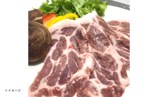 静岡県産「幻の赤豚(デュロック種)焼き肉2種セット」計1kg - Image 3