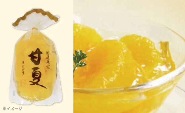 サンヨー堂「果実ゼリー 甘夏」350g