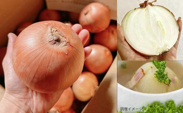 「青果専門仲卸が目利き・選果済み！つやつや玉ねぎ」約2kg