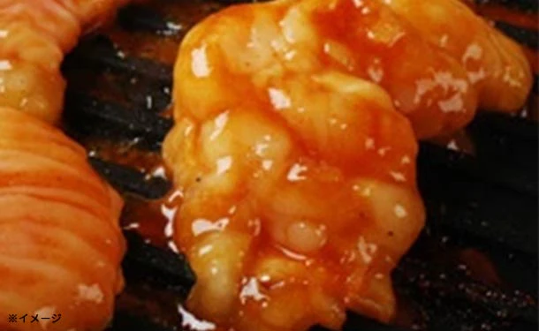 「味付きスタミナホルモン」250g