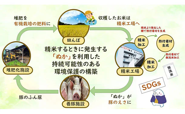 全農パールライス「無洗米茨城県産ミルキークイーン」5kg - Image 5