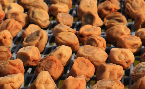 「減塩 紀州産南高梅 つぶれ梅 はちみつ味梅干し 塩分 3%」270g - Image 4