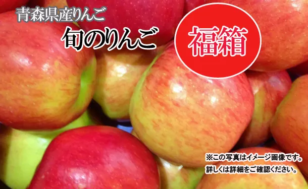 青森県「旬のりんご福箱（数品種・無選別）」約10kg