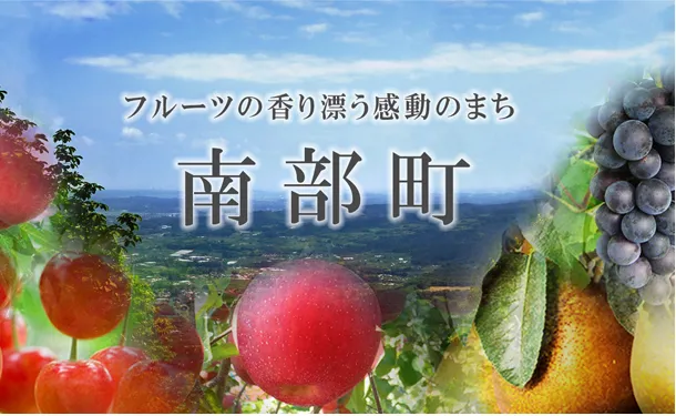 青森県「旬のりんご福箱（数品種・無選別）」約10kg - Image 5