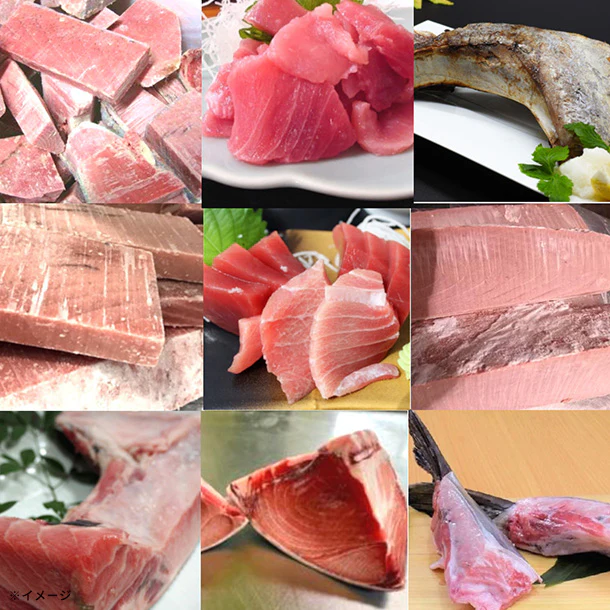Kuradashi限定「訳ありマグロ福袋（中トロ入り） 4種」約4kg