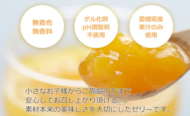 愛媛県産「みかんゼリー 温州みかん」 - Image 3