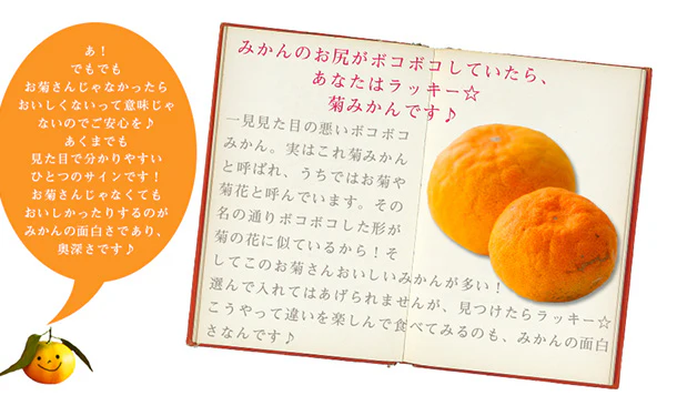愛媛県産「吉田みかん(L~3L)」3kg - Image 4
