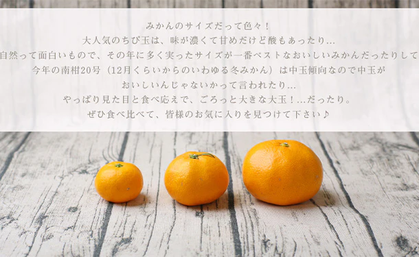 愛媛県産「吉田みかん(L~3L)」3kg - Image 6