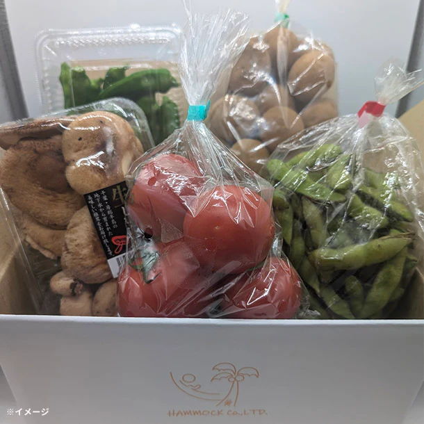 「旬の房総野菜詰め合わせ」60サイズ箱セット