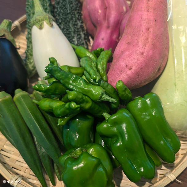 「旬の房総野菜詰め合わせ」80サイズ箱セット