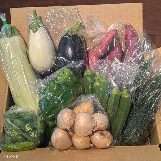 「旬の房総野菜詰め合わせ」80サイズ箱セット - Image 3