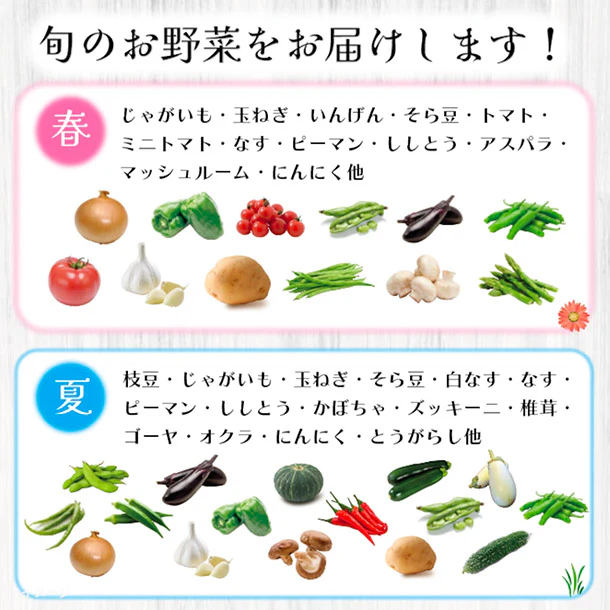 「旬の房総野菜詰め合わせ」80サイズ箱セット - Image 4