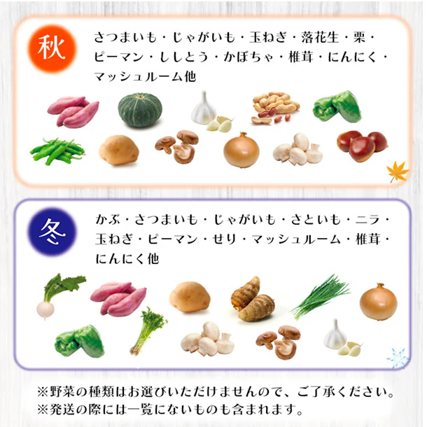 「旬の房総野菜詰め合わせ」80サイズ箱セット - Image 5