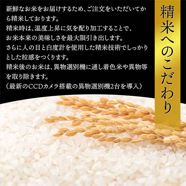 令和7年産「つや姫」5kg - Image 5