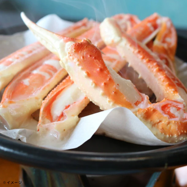 【Kuradashiオリジナル】北海道産 ボイルオオズワイガニ姿 約4kg(8杯) - Image 4